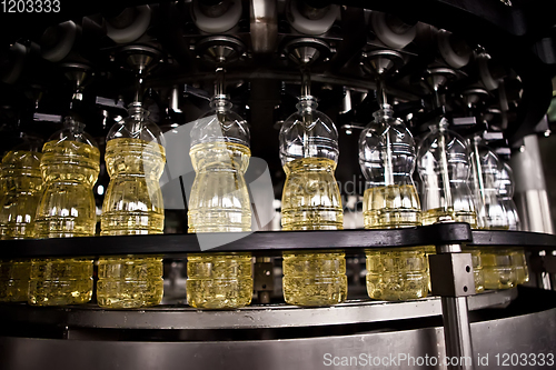 Image of Sunflower oil in the bottle moving on production line. Shallow dof.