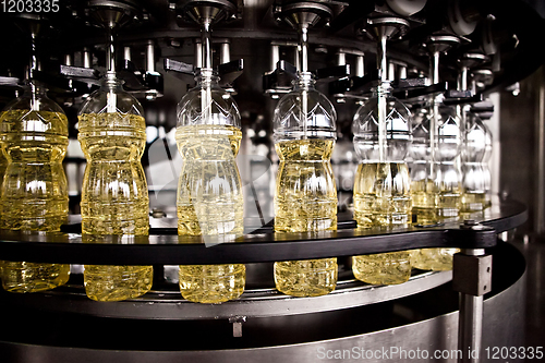 Image of Sunflower oil in the bottle moving on production line. Shallow dof.