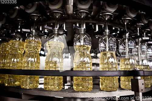 Image of Sunflower oil in the bottle moving on production line. Shallow dof.