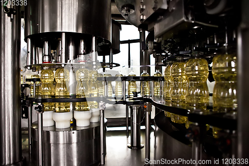 Image of Sunflower oil in the bottle moving on production line. Shallow dof.