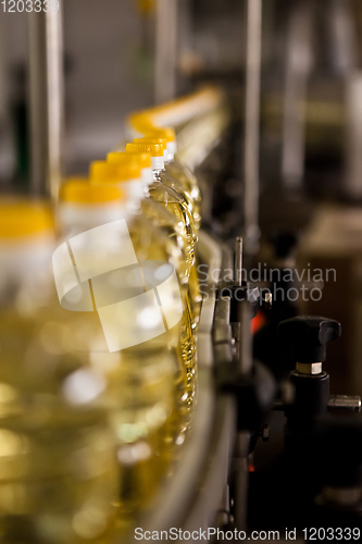 Image of Sunflower oil in the bottle moving on production line. Shallow dof.