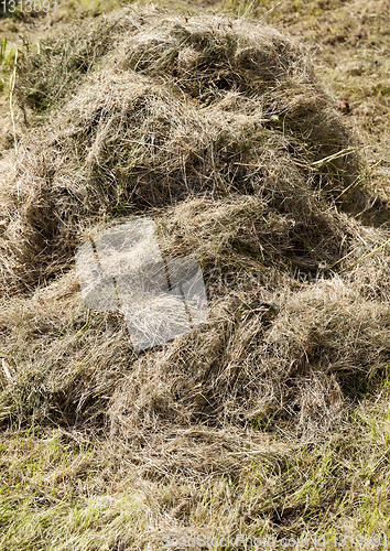 Image of pile of dry grass