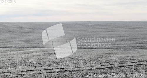 Image of frozen soil field agriculture