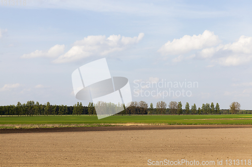 Image of agricultural field