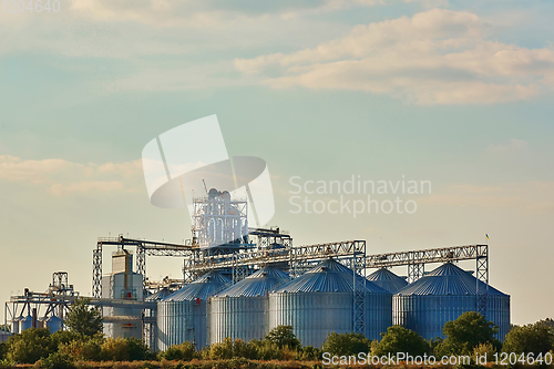 Image of Modern silos for storing grain harvest. Agriculture. Background.