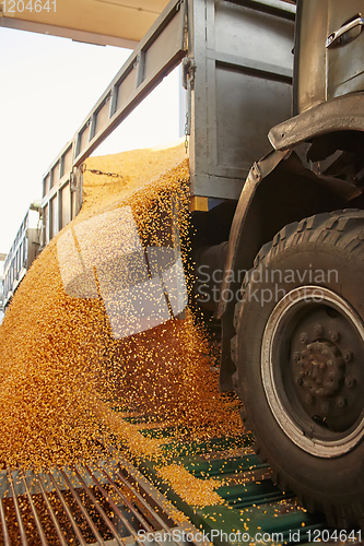 Image of Silo bag in a farm with fence and field. Rural, countryside image, agricultural industry scene.