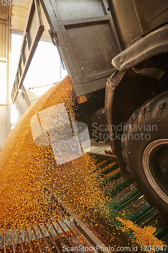 Image of Silo bag in a farm with fence and field. Rural, countryside imag