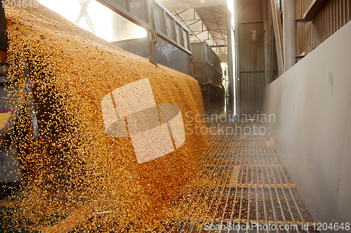 Image of Silo bag in a farm with fence and field. Rural, countryside image, agricultural industry scene.