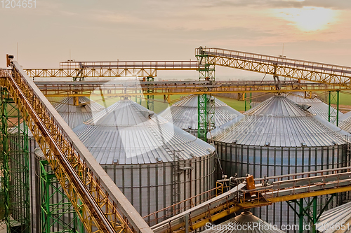 Image of Modern silos for storing grain harvest. Agriculture. Background.