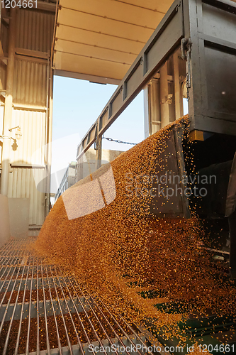 Image of Silo bag in a farm with fence and field. Rural, countryside image, agricultural industry scene.