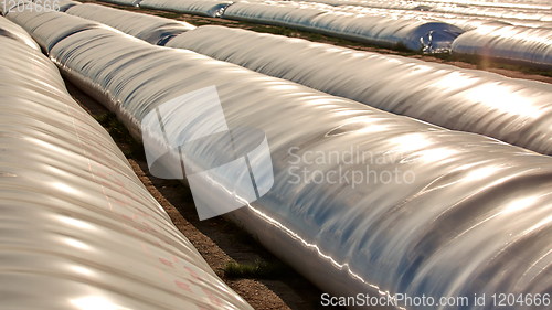 Image of Silo bag in a farm with fence and field. Rural, countryside image, agricultural industry scene.