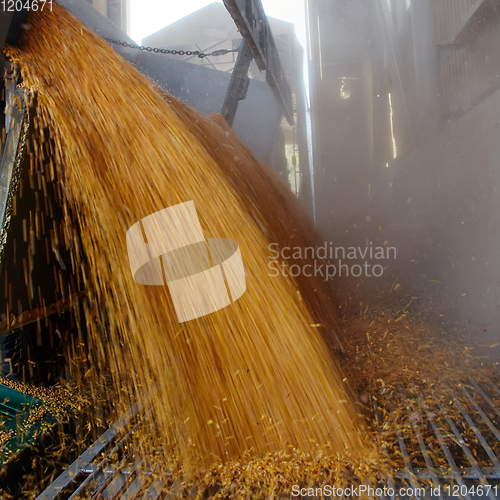 Image of Silo bag in a farm with fence and field. Rural, countryside image, agricultural industry scene.