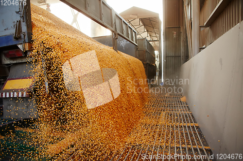 Image of Silo bag in a farm with fence and field. Rural, countryside image, agricultural industry scene.