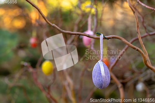 Image of Easter eggs on tree with bokeh