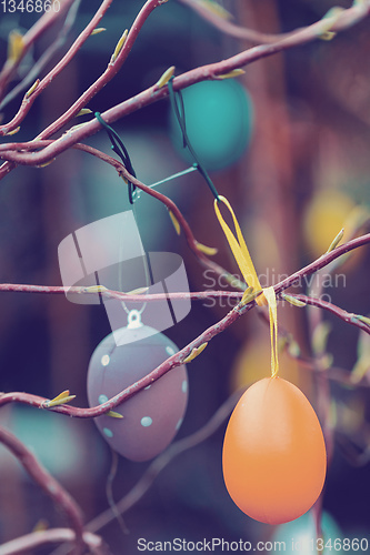 Image of Easter eggs on tree with bokeh