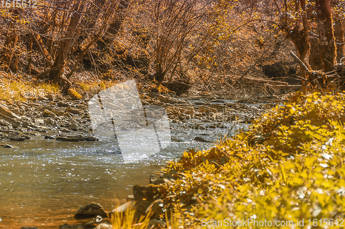 Image of waterside indian summer scenery