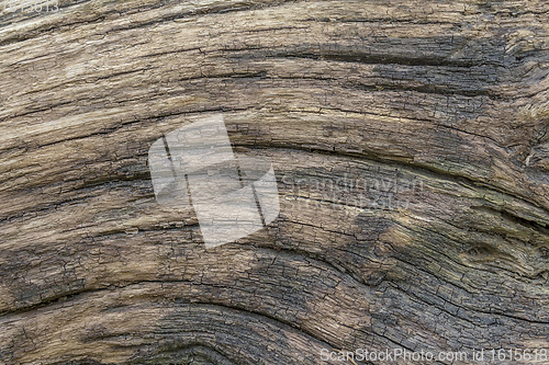 Image of fissured wood surface