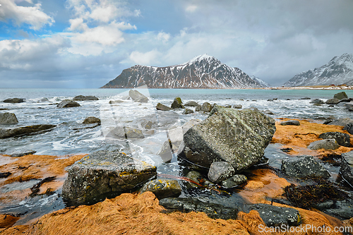 Image of Rocky coast of fjord in Norway