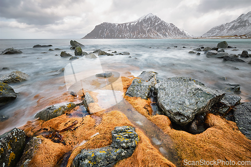 Image of Rocky coast of fjord in Norway