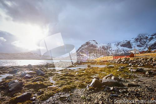 Image of Red rorbu house and fjord in Norway