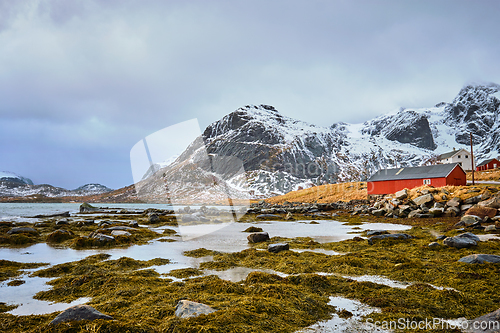 Image of Red rorbu house and fjord in Norway