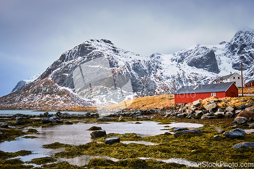 Image of Red rorbu house and fjord in Norway