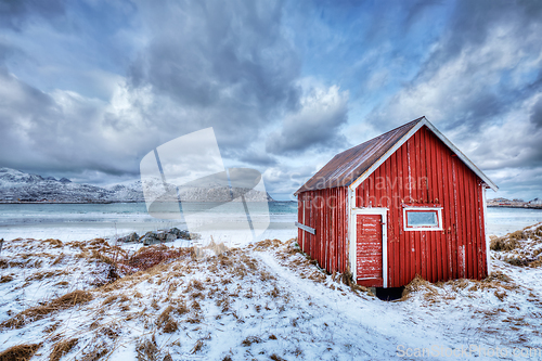 Image of Red rorbu house shed on beach of fjord, Norway