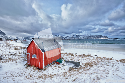 Image of Red rorbu house shed on beach of fjord, Norway