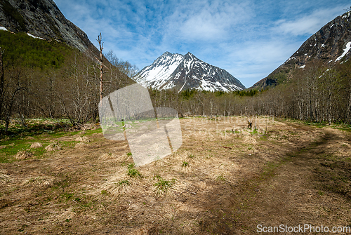 Image of snowy mountain peak with foreground just clear of snow