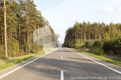 Image of Road forest