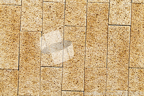 Image of Dried wheat bread