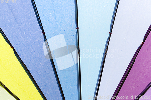 Image of colored umbrella