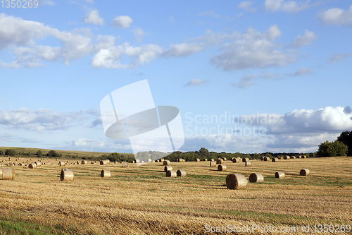 Image of stacks of straw