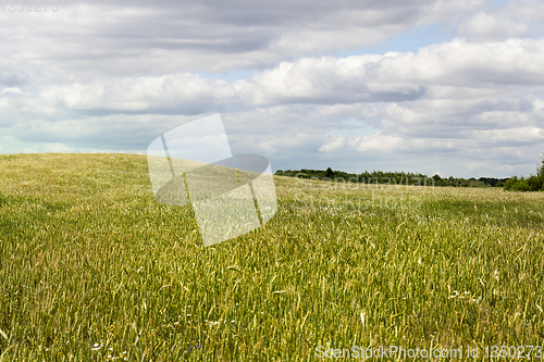 Image of Agricultural field