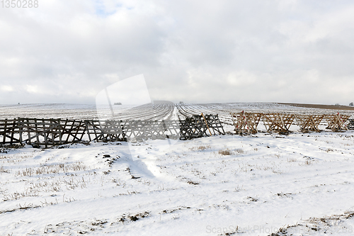 Image of Wooden fences in the field