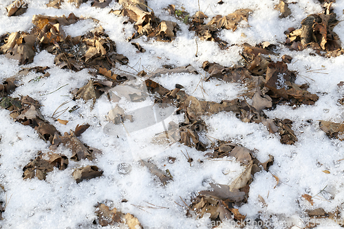 Image of Snow drifts in winter