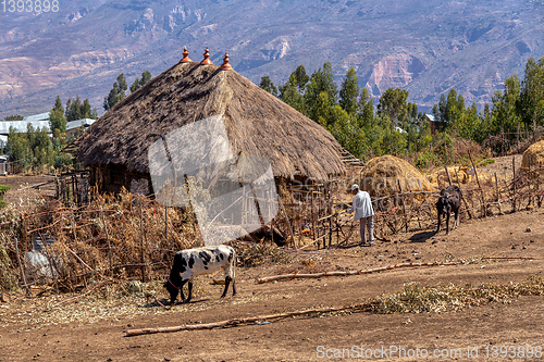 Image of Ethiopian farmer in the countryside