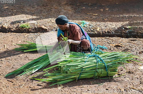 Image of Ethiopian man sells sugar cane on the street
