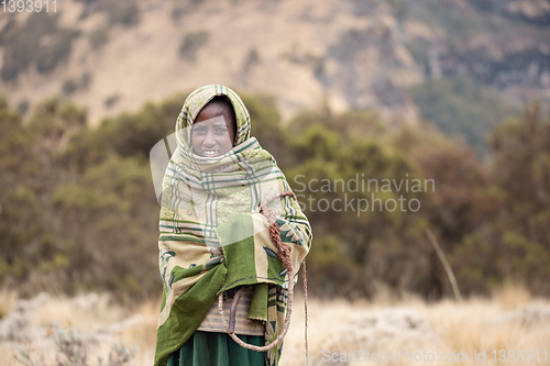 Image of Ethiopian shepherdess girl, Simien Mountains, Ethiopia