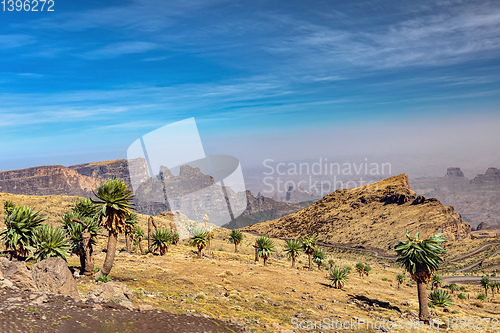 Image of Semien or Simien Mountains, Ethiopia