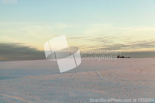 Image of Snowdrifts in winter