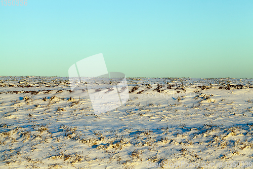 Image of ground under the snow