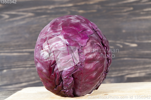 Image of Purple head of cabbage table