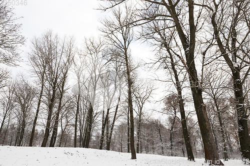 Image of Snow drifts in winter