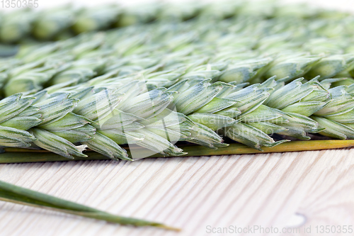 Image of Spikelets of wheat table