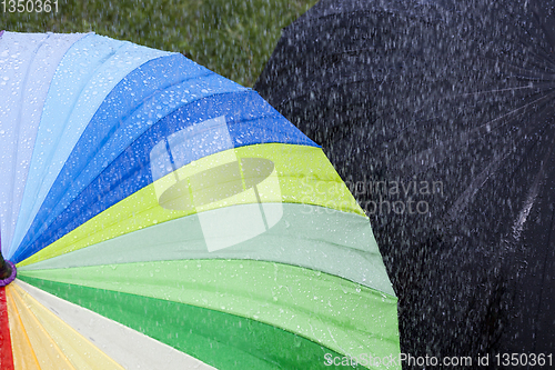 Image of Umbrellas rain multicolored