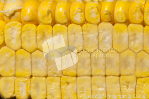 Image of cut corncobs corn slice grain