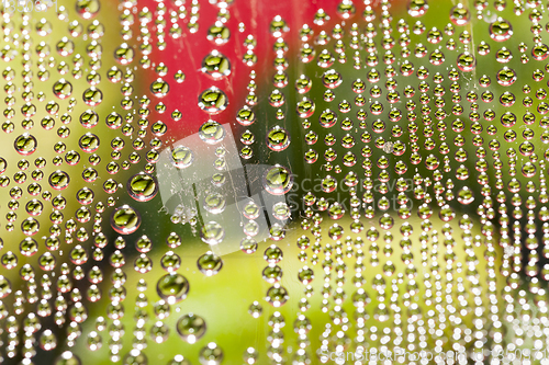 Image of Water droplets condensate film