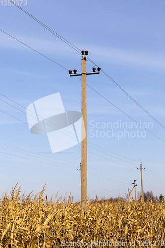 Image of Electric post corn