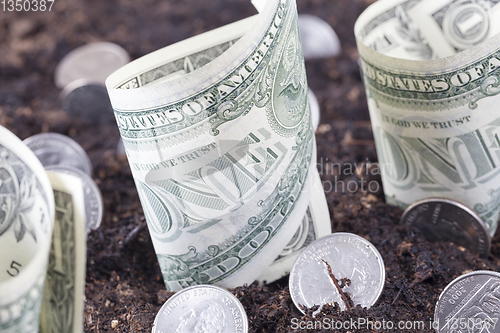 Image of Money dollars currency in soil